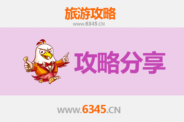 深圳龙岗出发湄洲岛旅游攻略：跟团vs自由行深度解析