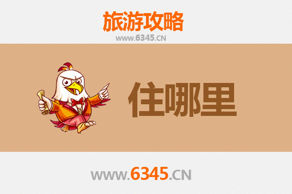 深圳龙岗旅游民宿全攻略：探索隐藏的文艺与自然之美